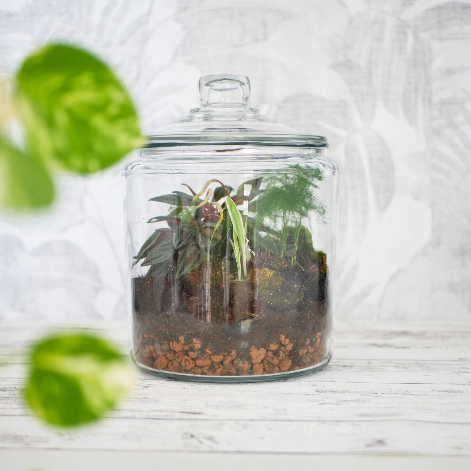 DIY Flaschengarten anlegen — Scandify Your Life