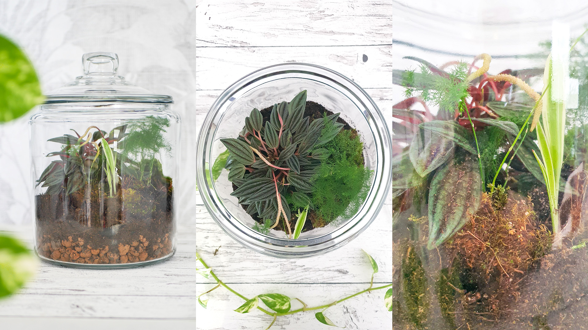 DIY Flaschengarten anlegen — Scandify Your Life