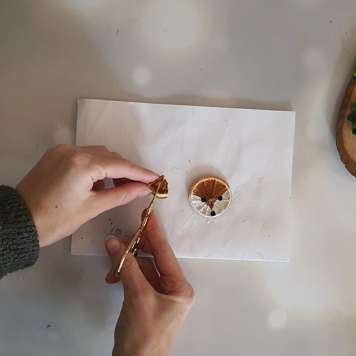 DIY Fuchs-Anhänger aus getrockneten Orangenscheiben selber machen Schritt 3: Orangenscheibe zerschneiden