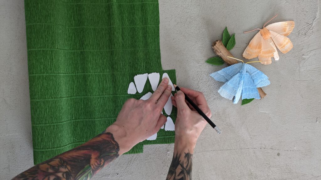Motte aus Papier selber machen Schritt 5: Flügel aus Krepppapier ausschneiden