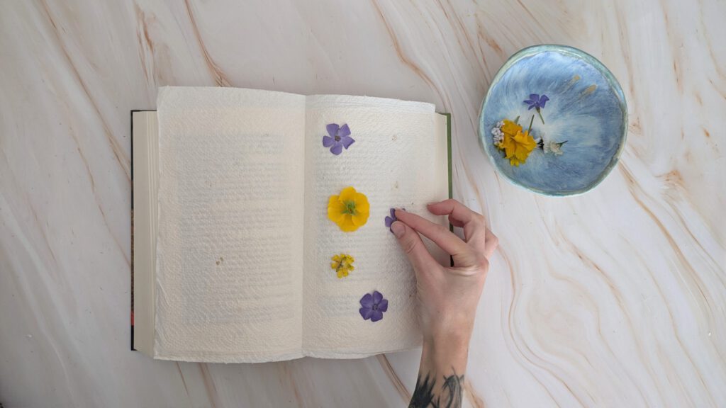 DIY Aufkleber aus gepressten Blumen basteln Schritt 1: Blüten in einem Buch pressen