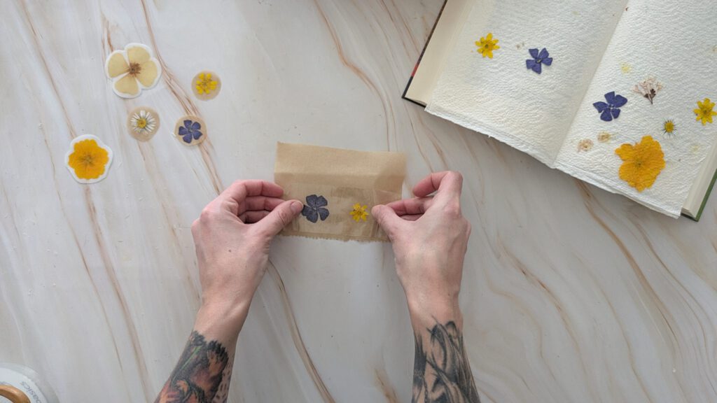 DIY Sticker aus echten Blumen Schritt 3: Blumen auflegen und mit weiterem Klebeband bedecken